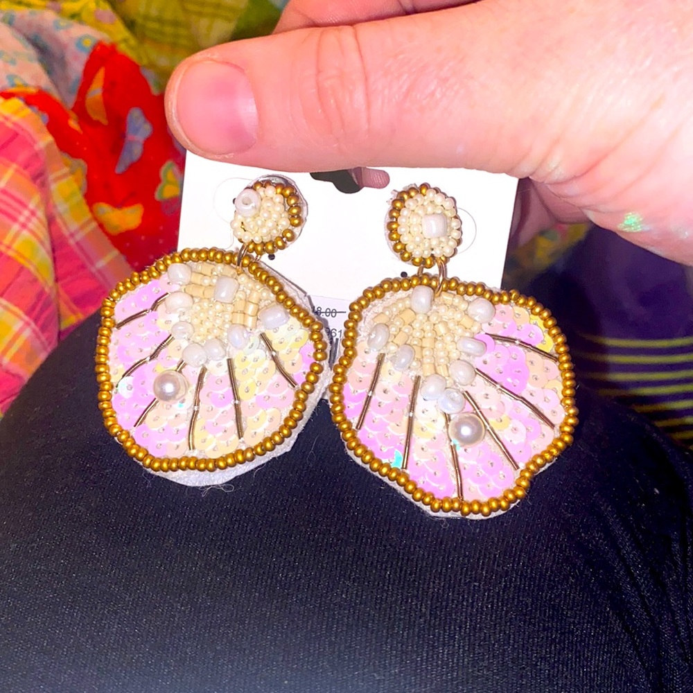 LAST PAIR Sandollar seashell earrings!
